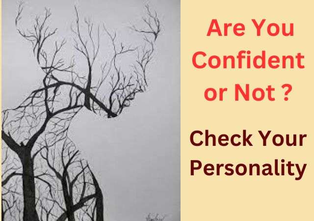 Are You Confident or Defensive: An Optical Illusion Personality Test?